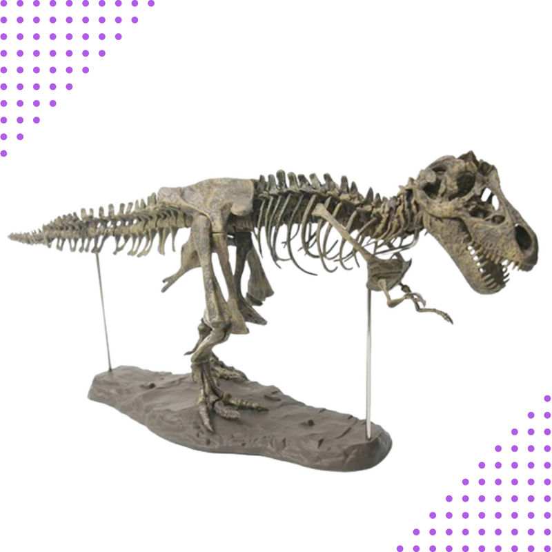 T-Rex Esqueleto 70 cm