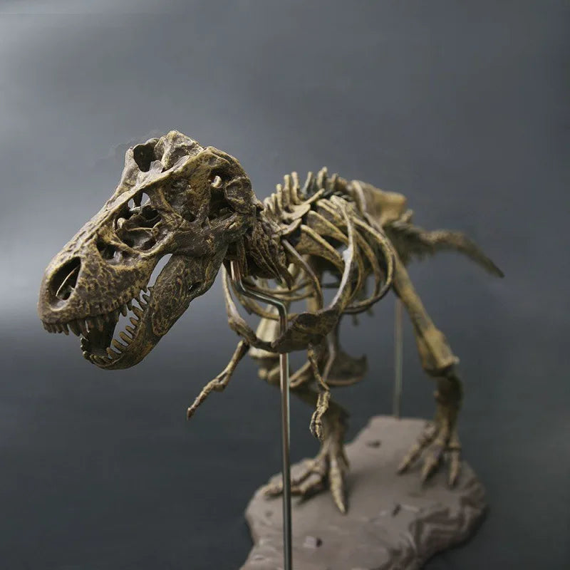 T-Rex Esqueleto 70 cm