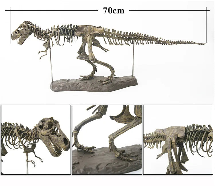 T-Rex Esqueleto 70 cm